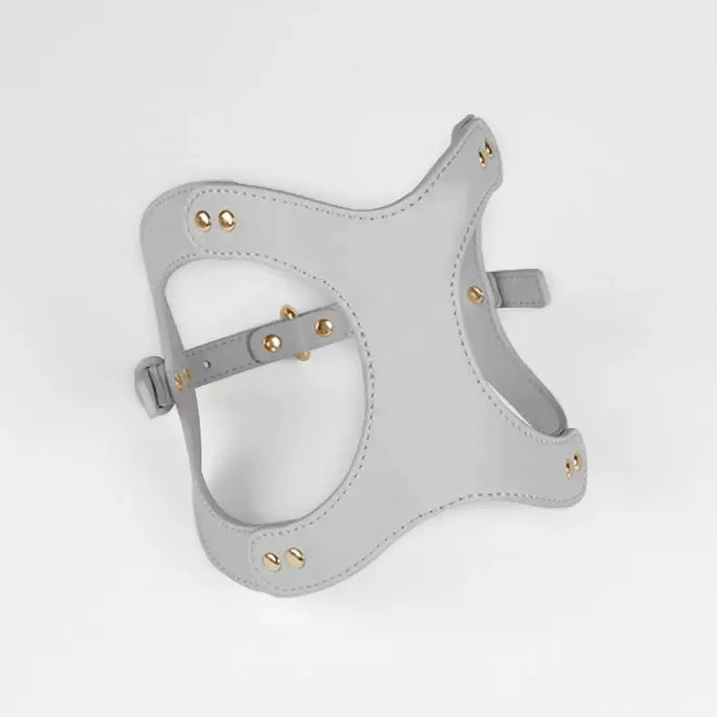 Hundesele set med line